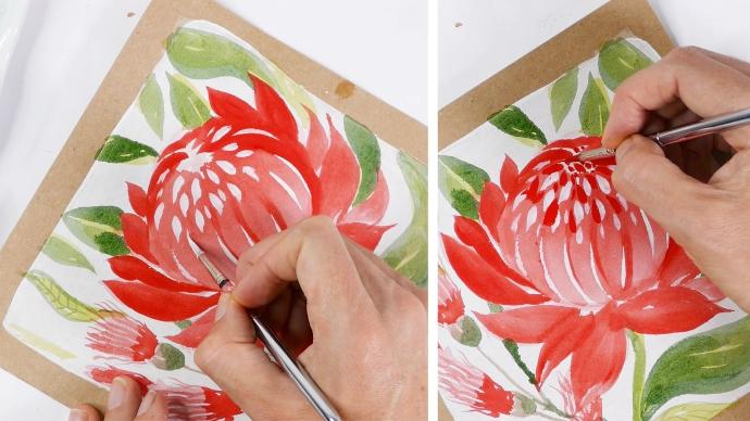 Paint Australian Native Waratah and Flowering Gum in Watercolour